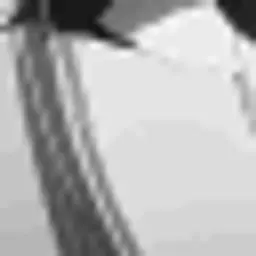 ЕдинаяРоссия