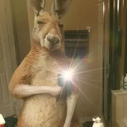 Член_неактив2513574