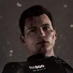 RK800_inactive5013965