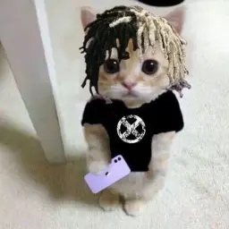 ziren_inactive4570834