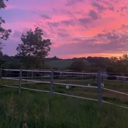 КОПЛЮРОСПИСИ