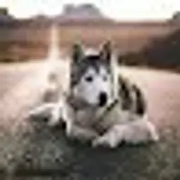 qazwsxzxcvbnm_inactive7698209