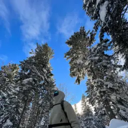 cartie_inactive7414136