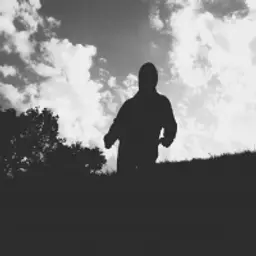 dartweider_inactive33198