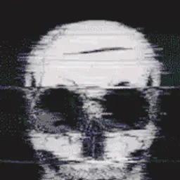 W1zaRD_inactive34088