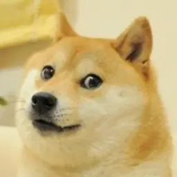 psycho_inactive_inactive