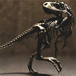 женя111_inactive37217