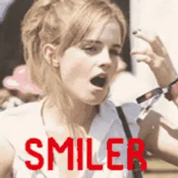 Smiler_inactive40128