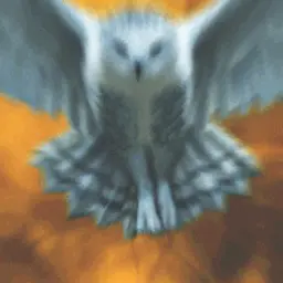 SnowyOwl_inactive42194