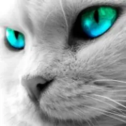 Noob4ik_inactive48249