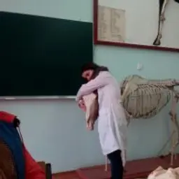 Sashaaaa_inactive53699