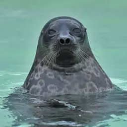 Филипп_inactive56411