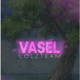 VASEL