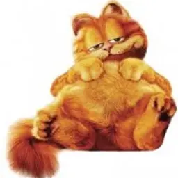 Meydase_inactive61592