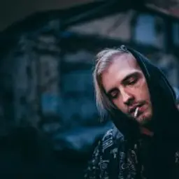 horesse_inactive70262