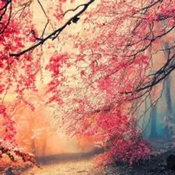 Aibek_inactive_inactive