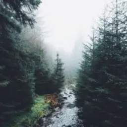 DarkByrn_inactive76639