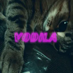 Vodila