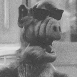 MERLIN_inactive79676