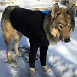 пен_inactive90115