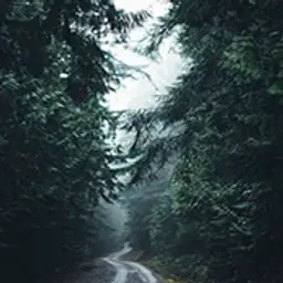 MaxMay_inactive93106