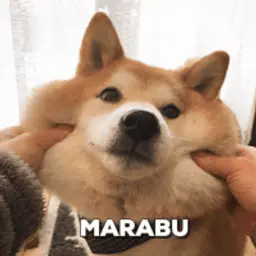 Marabu_inactive98768