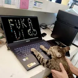 Счастье_неактив98842