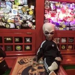 Denya_inactive103550