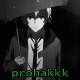 prohakkk