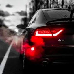 slimelv_inactive104992