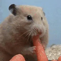 4cher_inactive107131