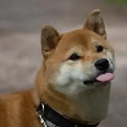 DuckLuck_inactive112476