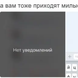 KoTuK_inactive115819