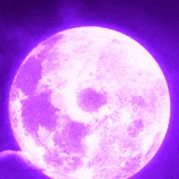 Ninjaaa_inactive118477