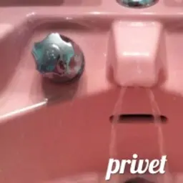 danik423_inactive123536