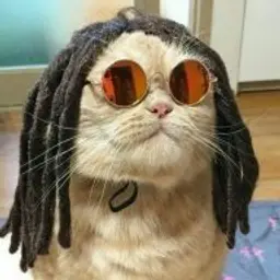 popopl_inactive146122