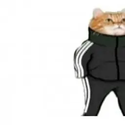 DarkAss_inactive147427