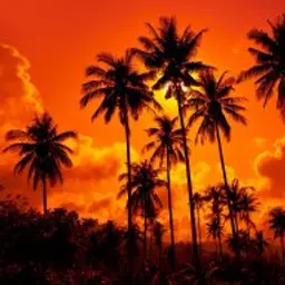 Vance_inactive164209