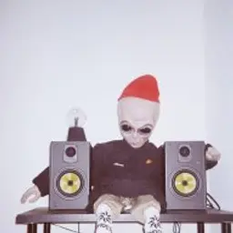 Poncho_inactive188214