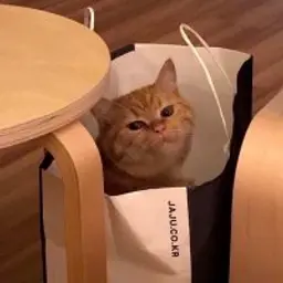 lolzmaster_inactive326891