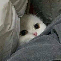 антидепрессант