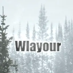 Wlayour