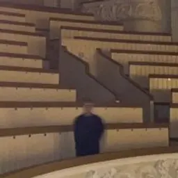 Artemixxx_inactive563421