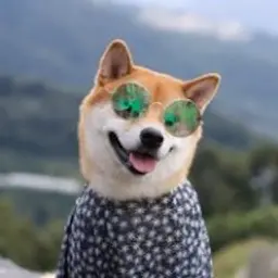 Esthetic_inactive576756