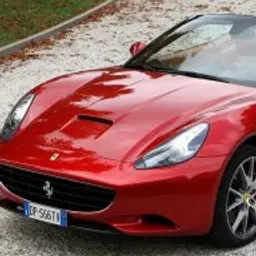 RedRoses_inactive600869