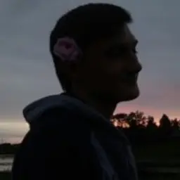 vascute_inactive617185