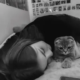 сайленс_неактив637376