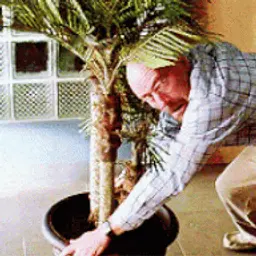 SATANI_inactive638666