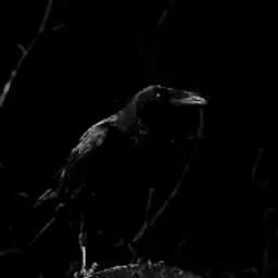 undecide_inactive640695