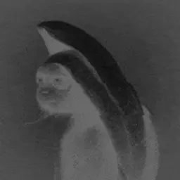 Neymar_inactive646881